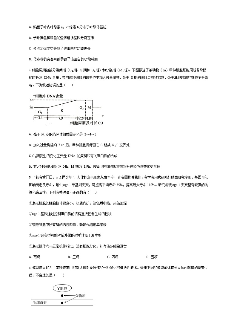 2023届广东省高三元月第一次诊断性模拟测试生物学试题含解析02