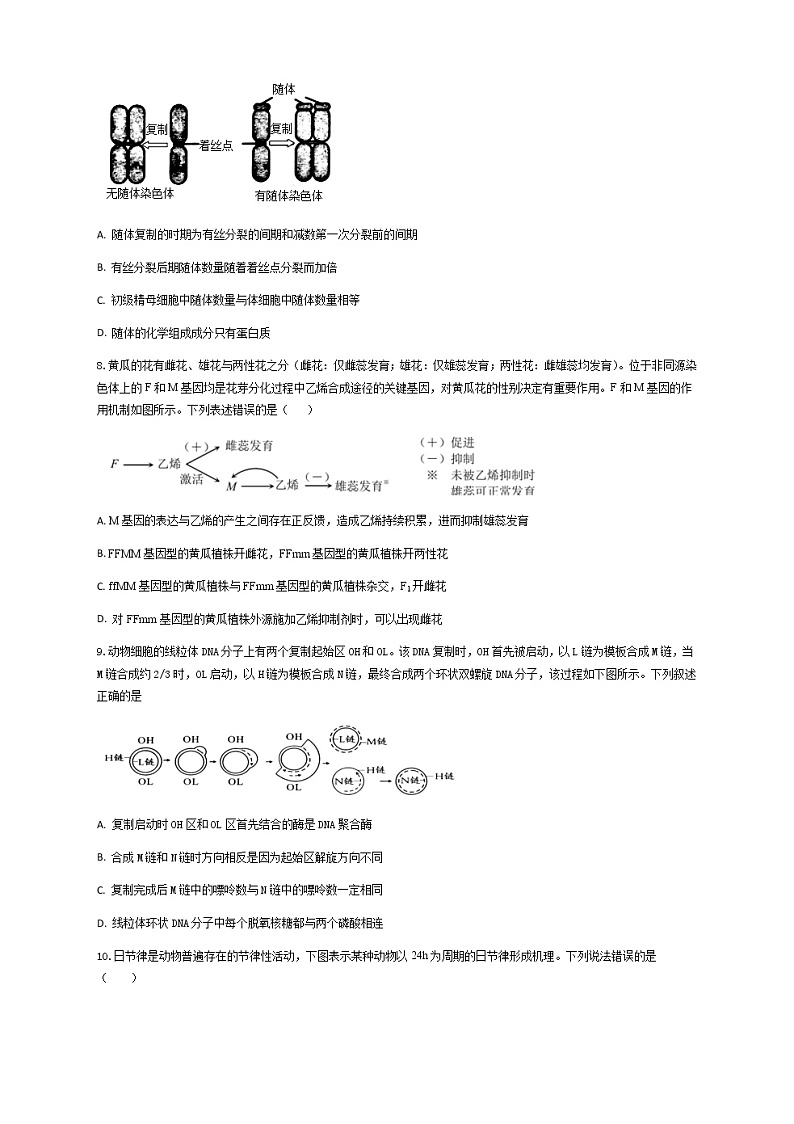 2023届湖北省高三生物高考适应性模拟测试（三）试卷含解析第3页