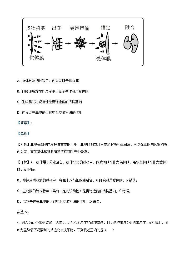 2023届陕西省咸阳市高考模拟检测（一）生物试题Word版含解析03