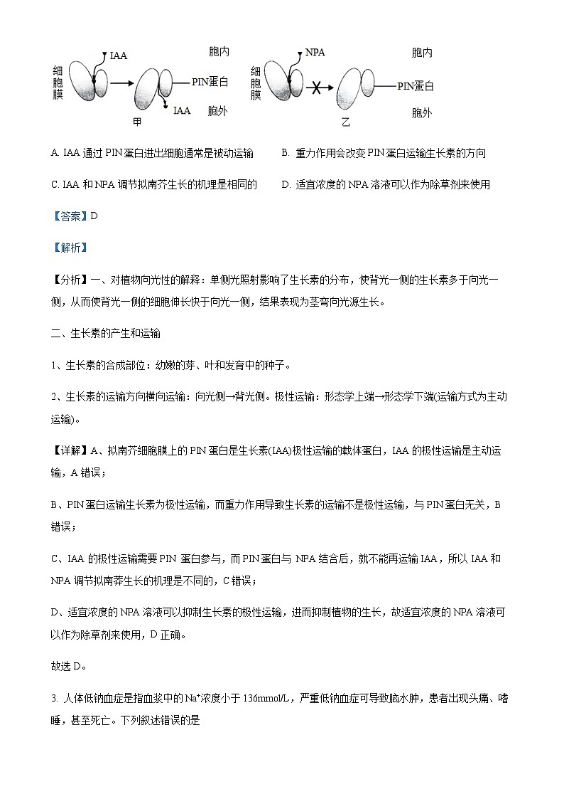 2023届四川省成都市高三上学期第一次诊断性考试理综生物试题含解析02