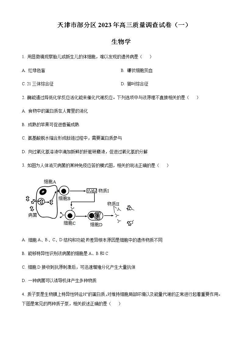 2023届天津部分区高三质量调查一生物试题含解析01