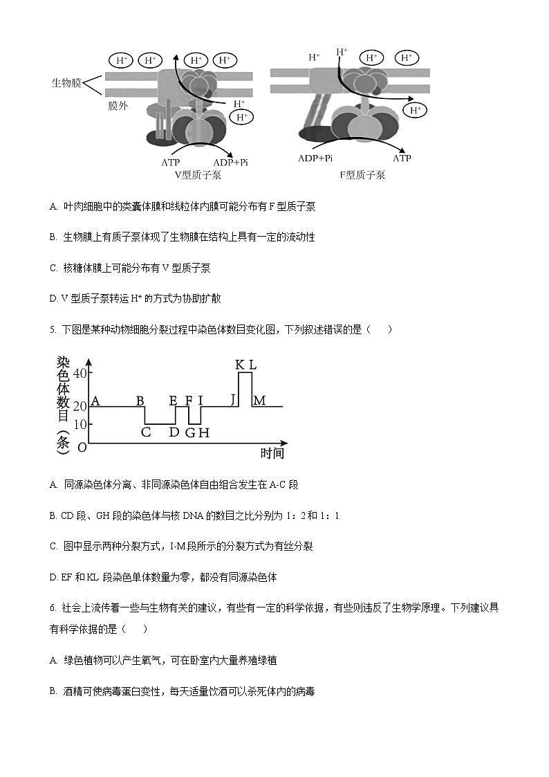 2023届天津部分区高三质量调查一生物试题含解析02