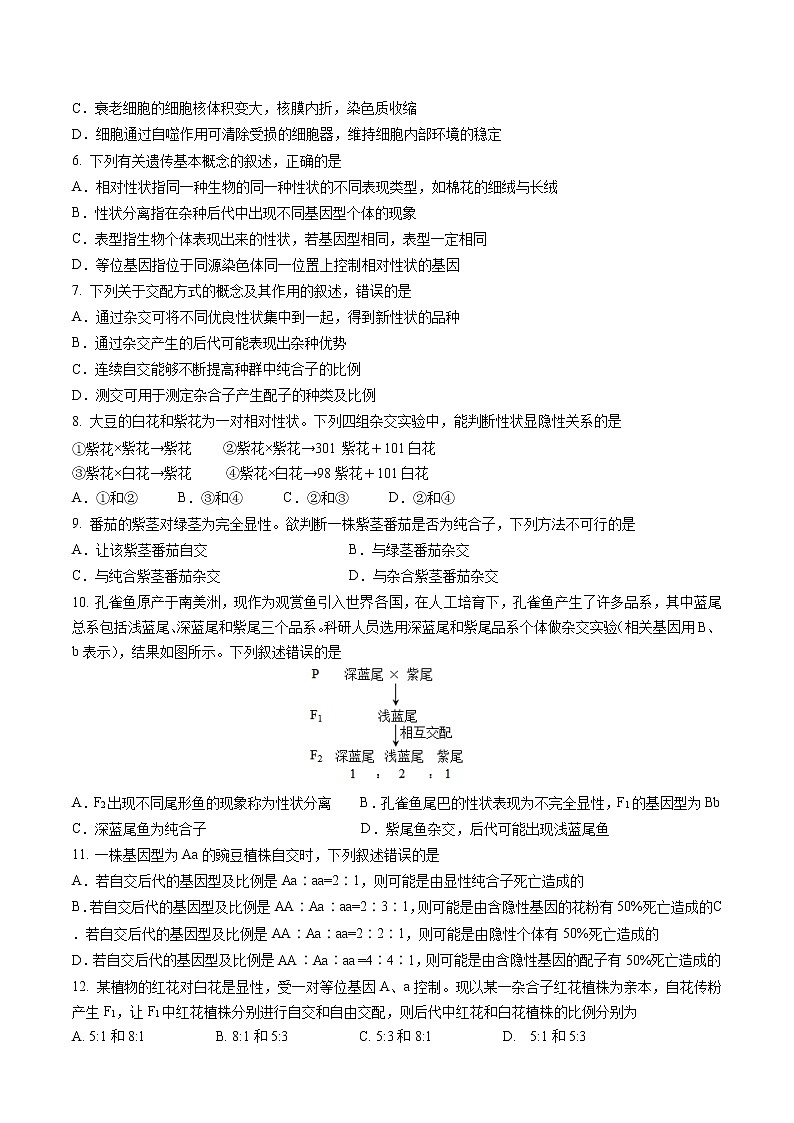 2023马鞍山红星中学高一下学期期中生物试题含答案02