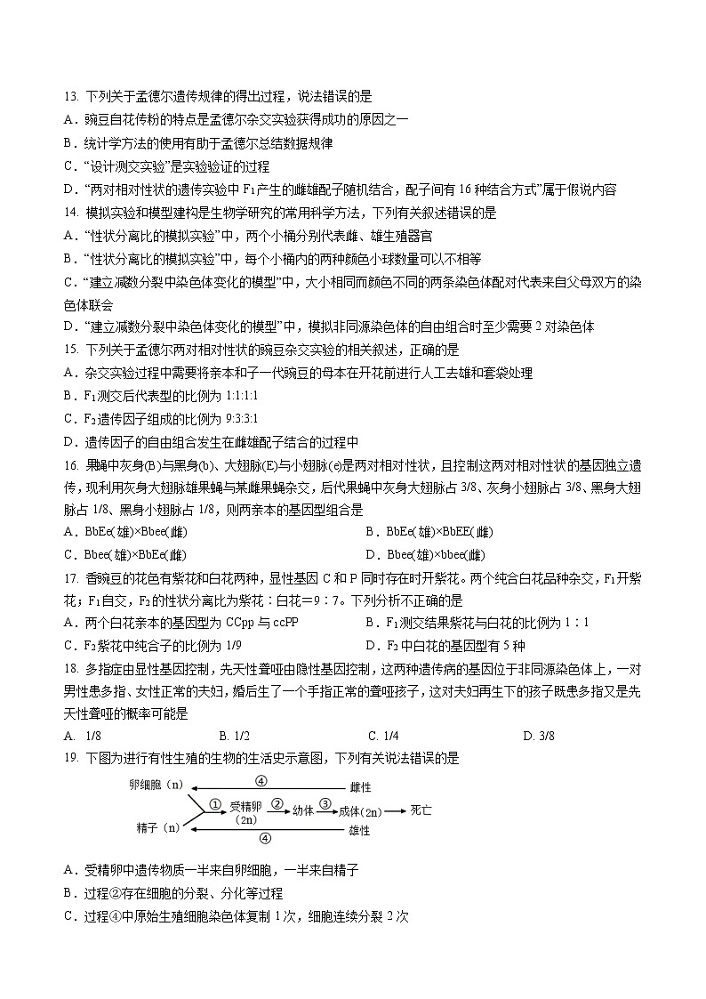 2023马鞍山红星中学高一下学期期中生物试题含答案03