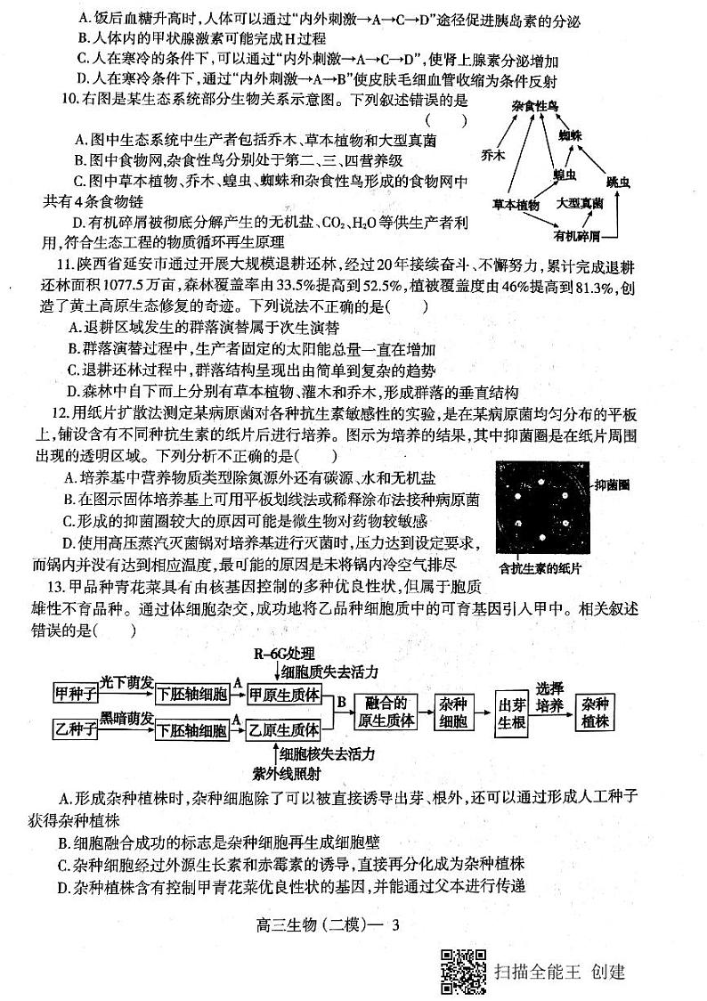 2021届辽宁省辽南协作校（朝阳市）高三下学期第二次模拟考试生物试题 PDF版03
