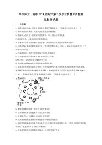 2022-2023学年湖北省华中师范大学第一附属中学高三下学期第二次学业质量评价检测（期中）生物试题（PDF版）