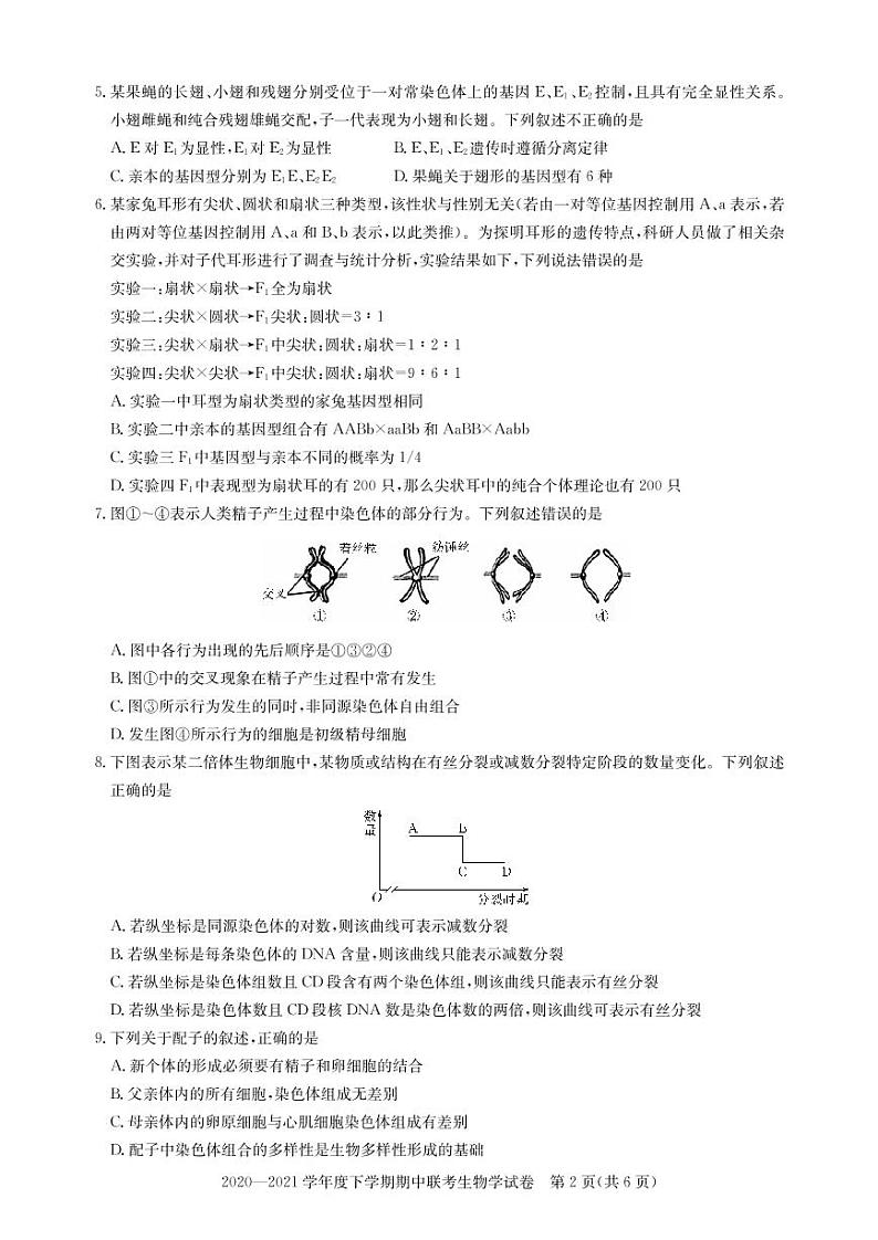 2020-2021学年湖北省武汉市部分重点中学高一下学期期中联考生物试题 PDF版02