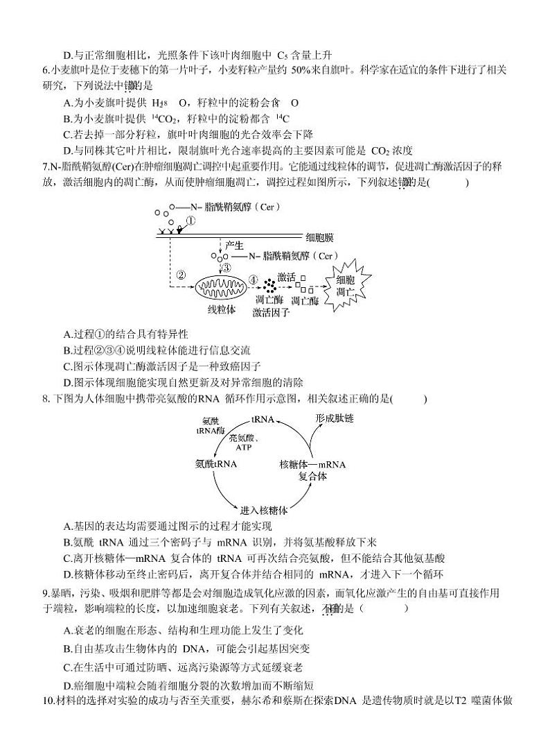 生物试题-第2页