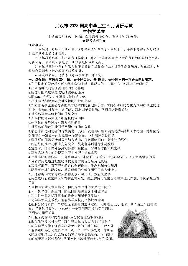 湖北省武汉市2022-2023学年高三下学期4月调研考试生物试卷含答案01