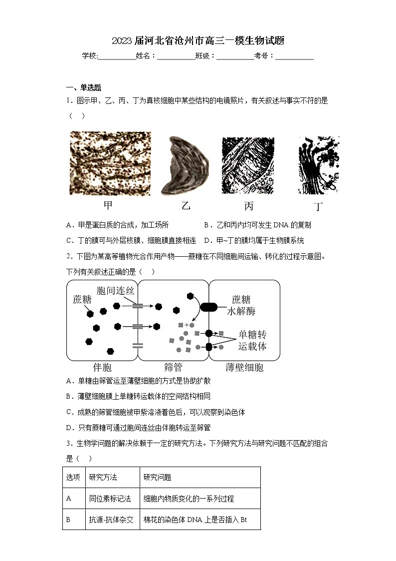 2023届河北省沧州市高三一模生物试题（含答案）01