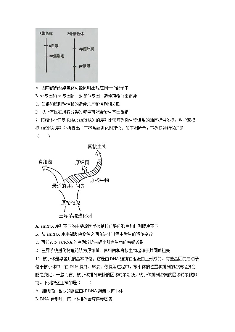 2023届广东省佛山市高三二模生物试题03