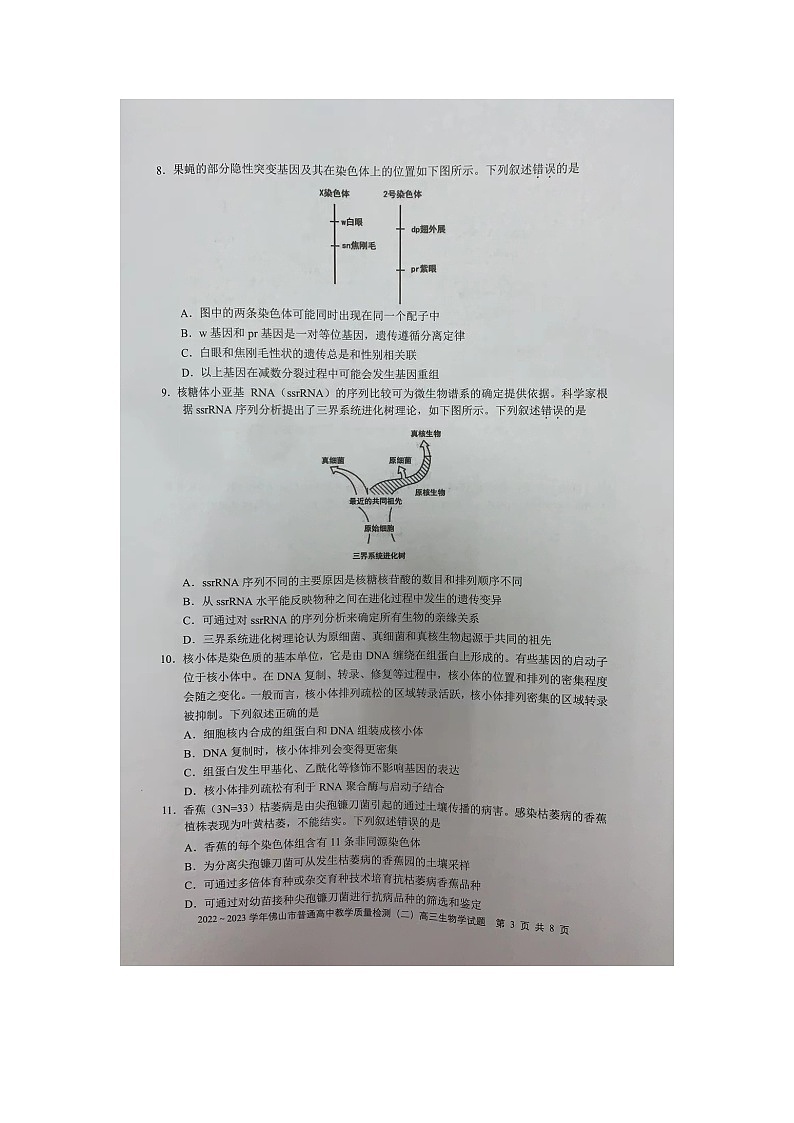 2023佛山高三下学期教学质量检测（二）（二模）生物图片版无答案第3页