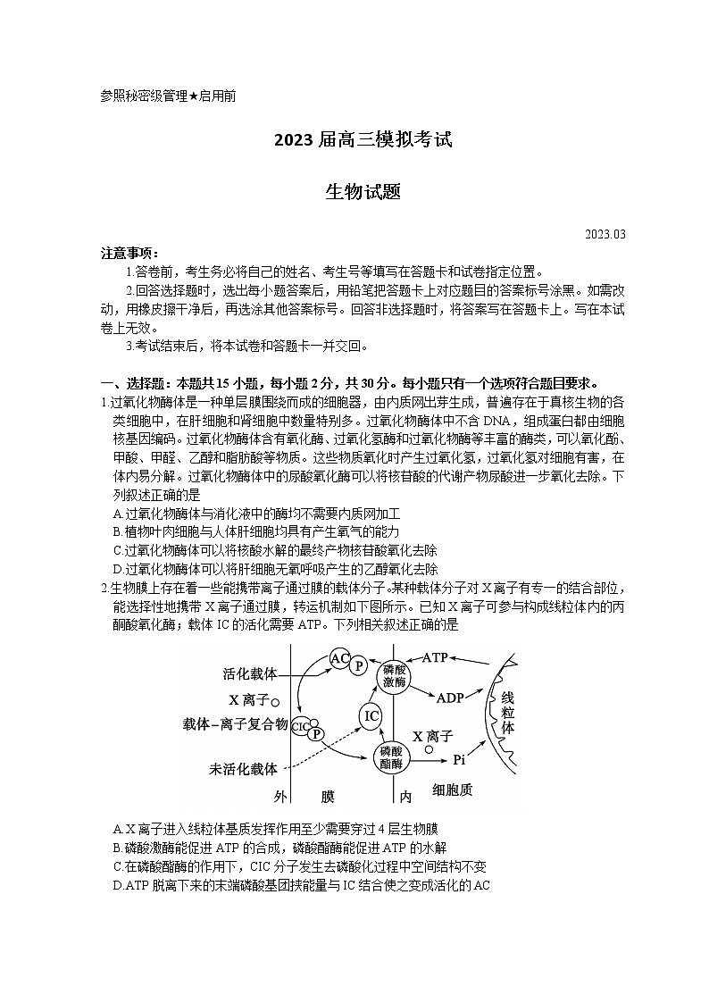 2023枣庄高三下学期二模考试生物试题含答案01