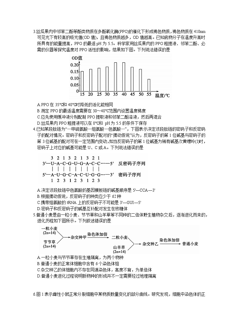 2023枣庄高三下学期二模考试生物试题含答案02