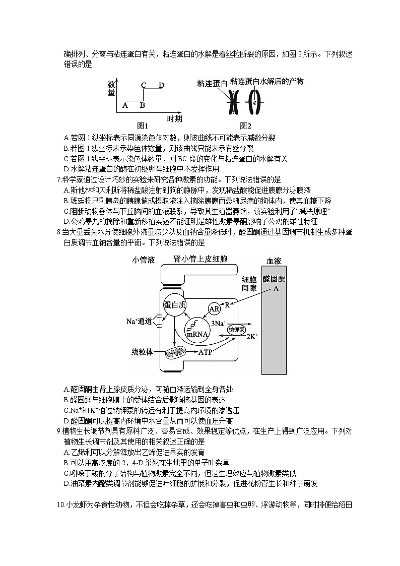 2023枣庄高三下学期二模考试生物试题含答案03