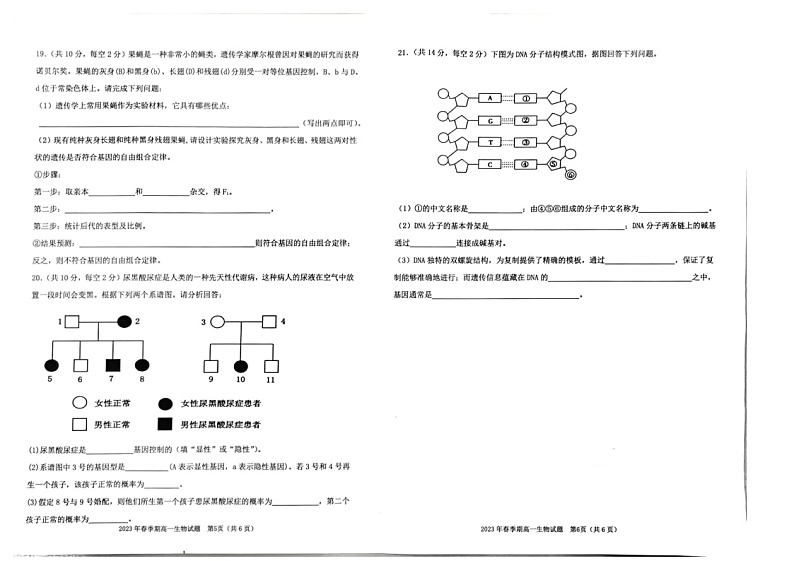 2023壮族自治区玉林北流四校高一下学期期中联考生物试题03