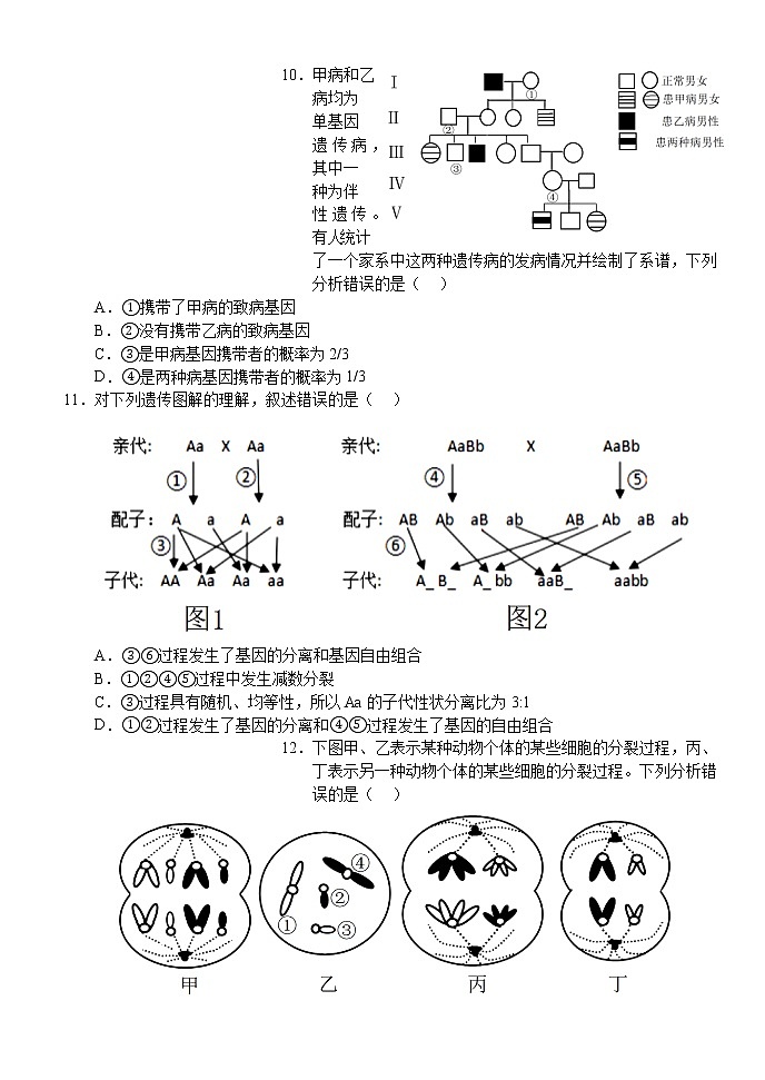 2023荆州沙中学高一下学期4月期中生物试题含答案03