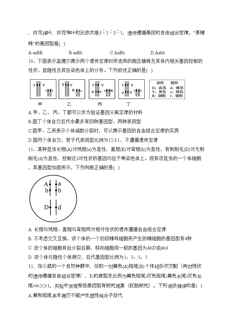 河北省大名县第一中学2022-2023学年高一下学期4月月考生物试卷（含答案）03