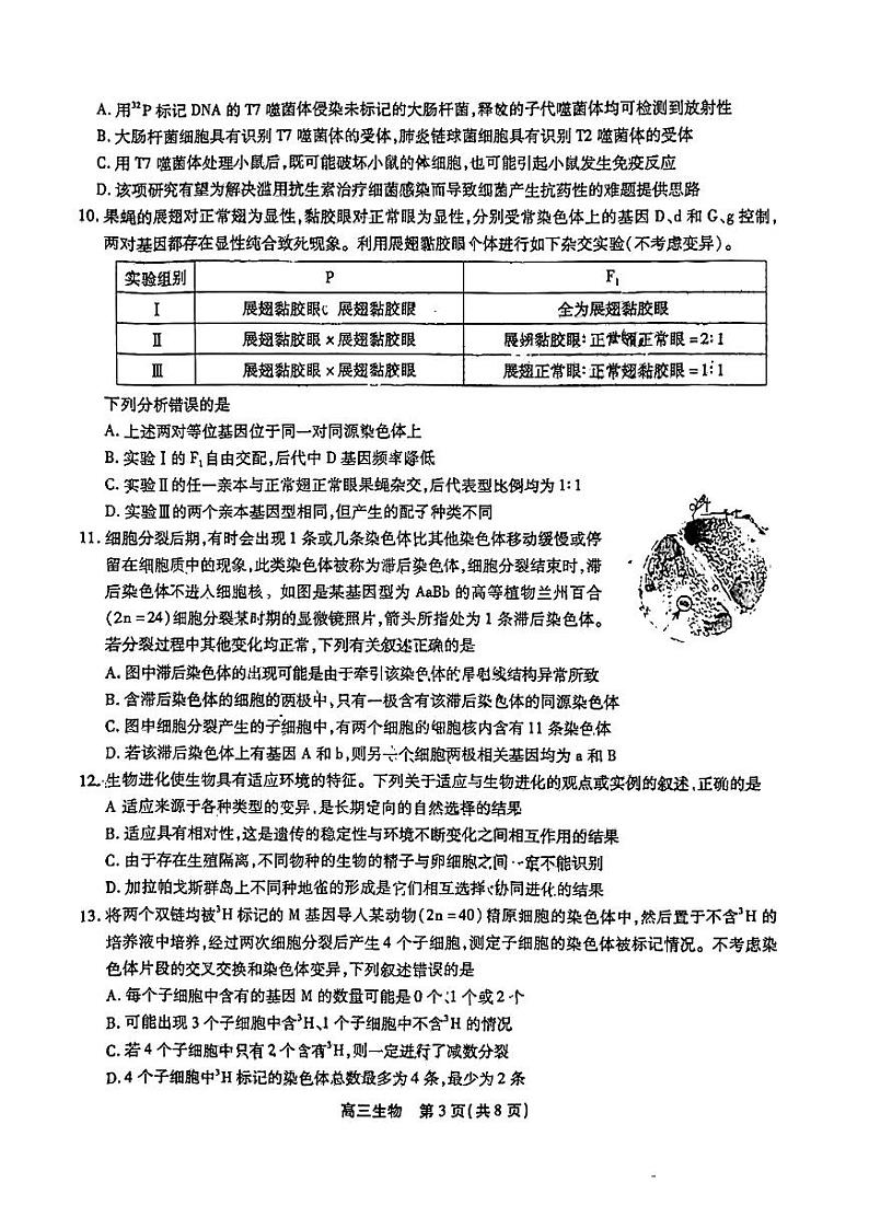 2022-2023学年安徽省鼎尖名校联盟高三上学期12月联考试题 生物 PDF版03