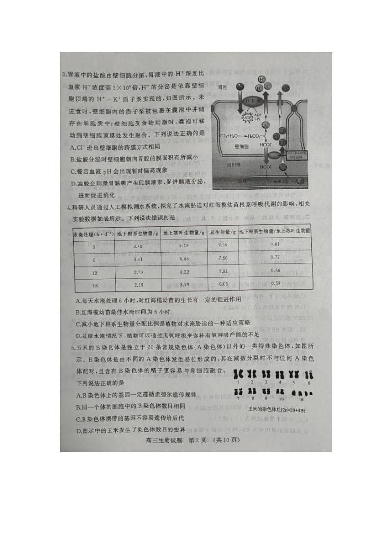 2023届山东省新高考联合模拟考试济南高三二模生物试题第2页