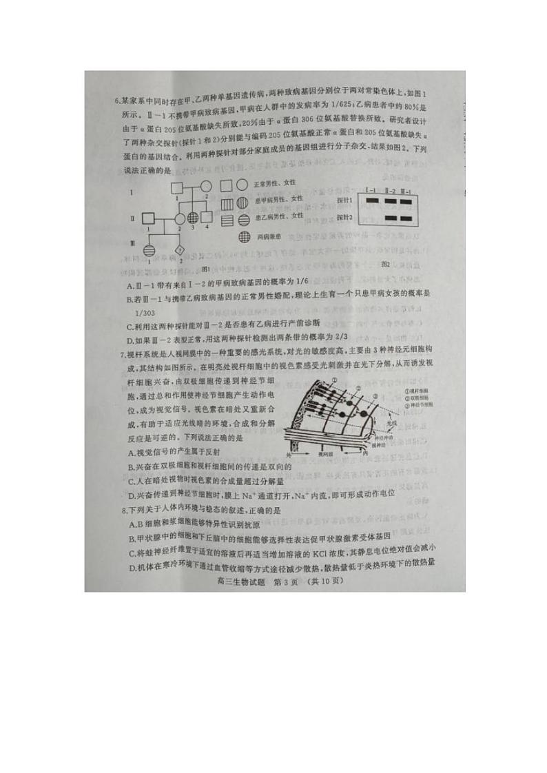 2023届山东省新高考联合模拟考试济南高三二模生物试题第3页