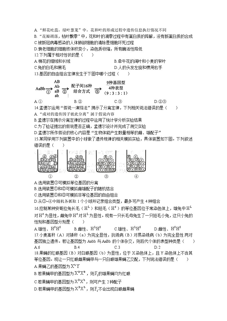 2023湖南省湖湘教育三新探索协作体高一下学期期中考试生物试题无答案03