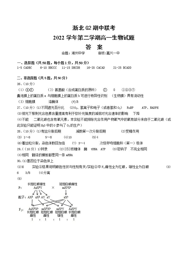 浙江省浙北G2联盟2022-2023学年高一下学期4月期中联考生物答案第1页