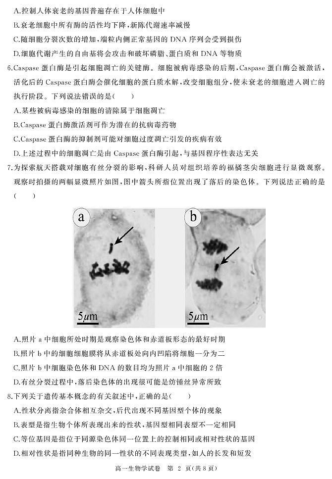 2023湖北省部分普通高中联盟高一下学期期中联考试题生物PDF版含答案02