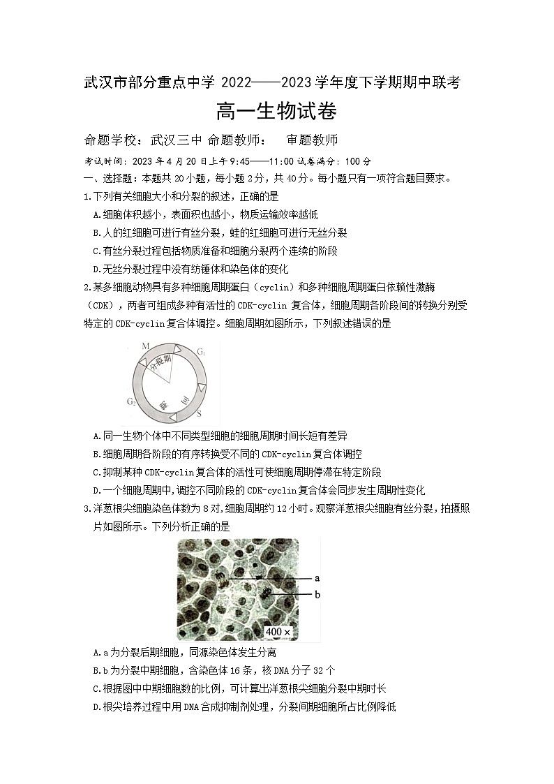 2023武汉部分重点中学高一下学期期中联考试题生物含答案01