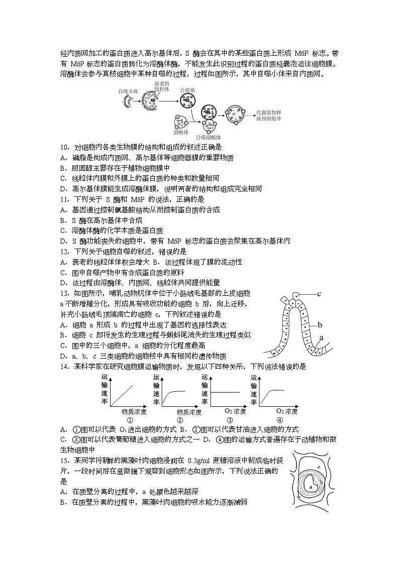 2023宁波三锋教研联盟高一下学期期中联考生物试题含答案第2页