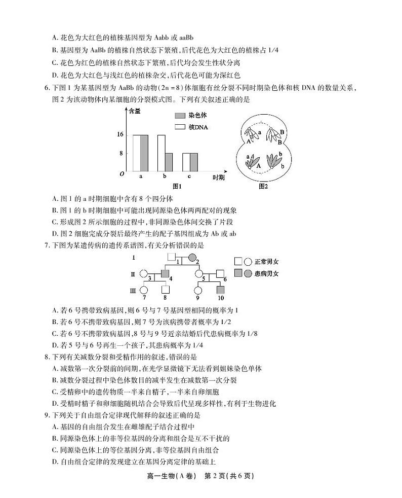 2023安徽省鼎尖名校联盟高一下学期4月联考试题生物（A卷）PDF版无答案02