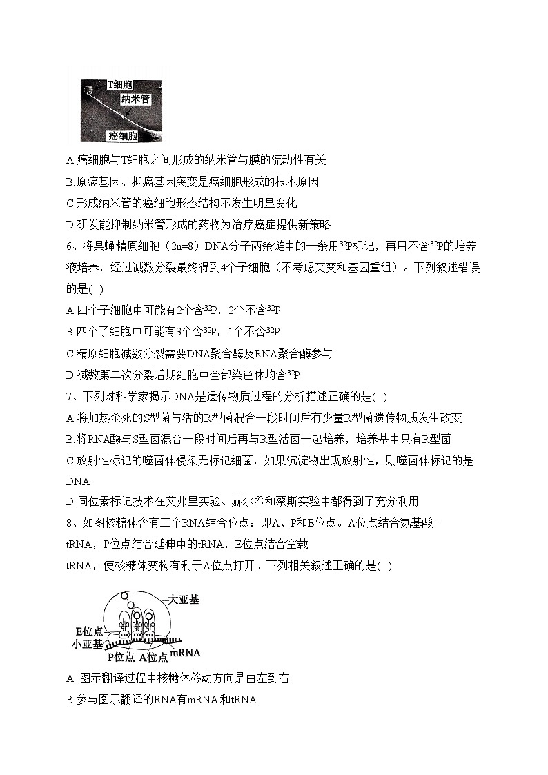 河北省2023届高三下学期第一次高考模拟演练考试生物试卷（含答案）第2页