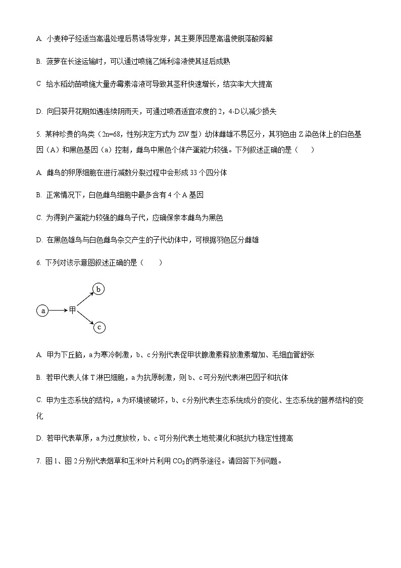 2022-2023年四川省绵阳南山中学高三下学期第十一次综合演练试题理综生物含解析02
