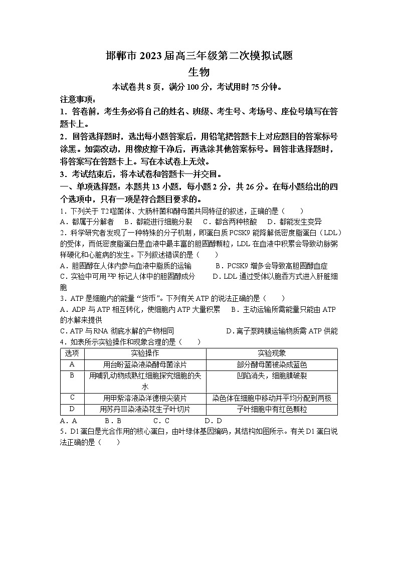 河北省邯郸市2022-2023学年高三下学期二模生物试题（Word版附解析）01