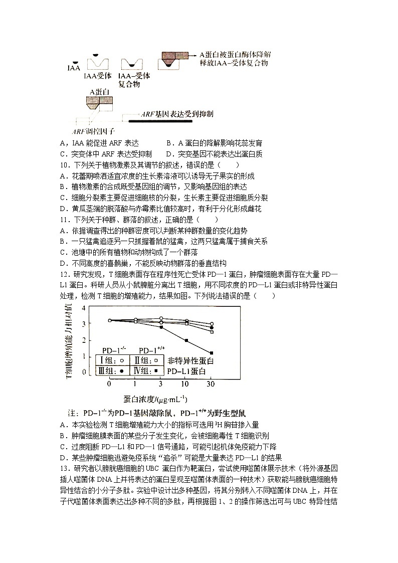 河北省邯郸市2022-2023学年高三下学期二模生物试题（Word版附解析）03