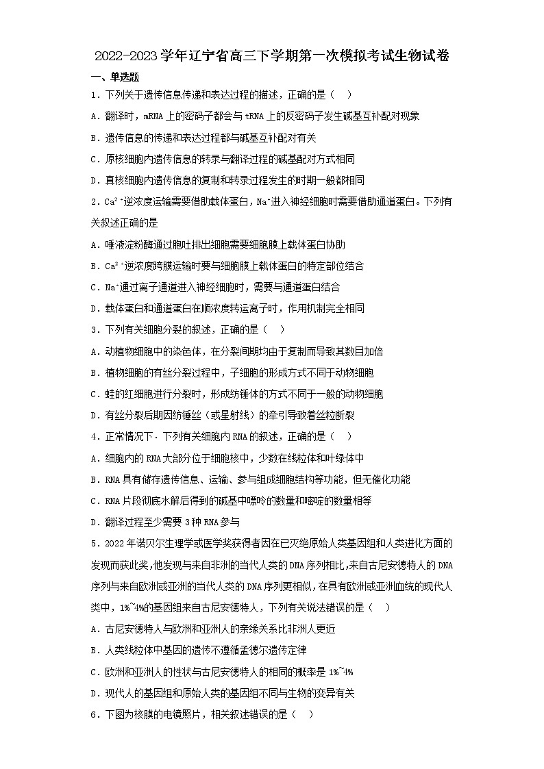 2022-2023学年辽宁省高三下学期第一次模拟考试生物试卷（含解析）第1页