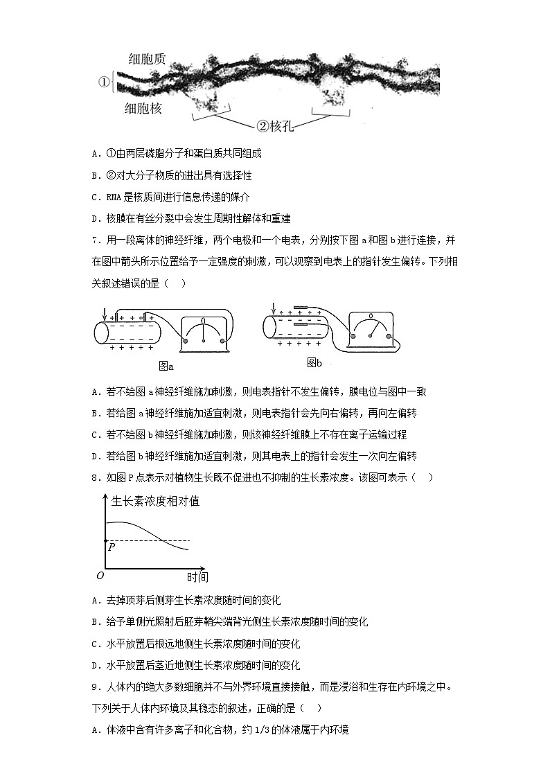 2022-2023学年辽宁省高三下学期第一次模拟考试生物试卷（含解析）第2页