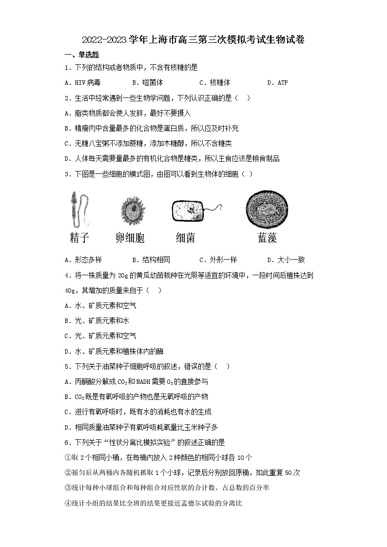 2022-2023学年上海市高三第三次模拟考试生物试卷（含解析）01