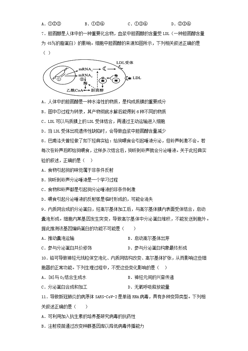 2022-2023学年上海市高三第三次模拟考试生物试卷（含解析）02