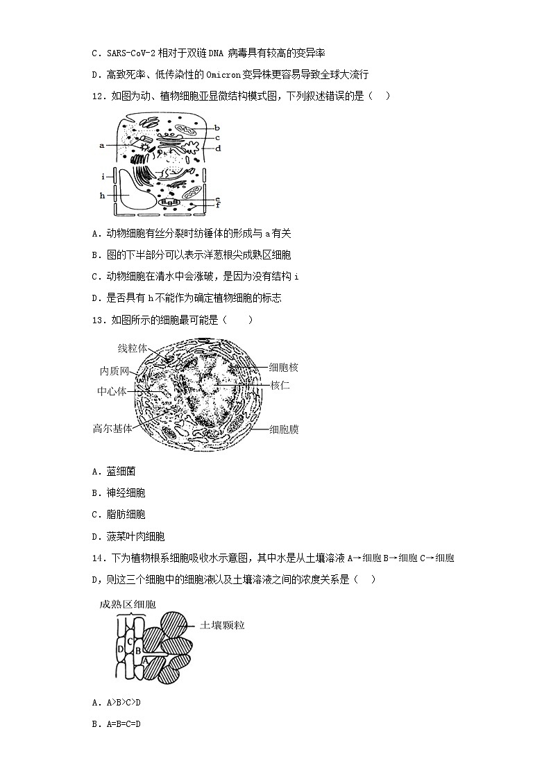 2022-2023学年上海市高三第三次模拟考试生物试卷（含解析）03