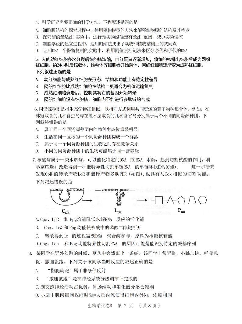 6生物试题第2页