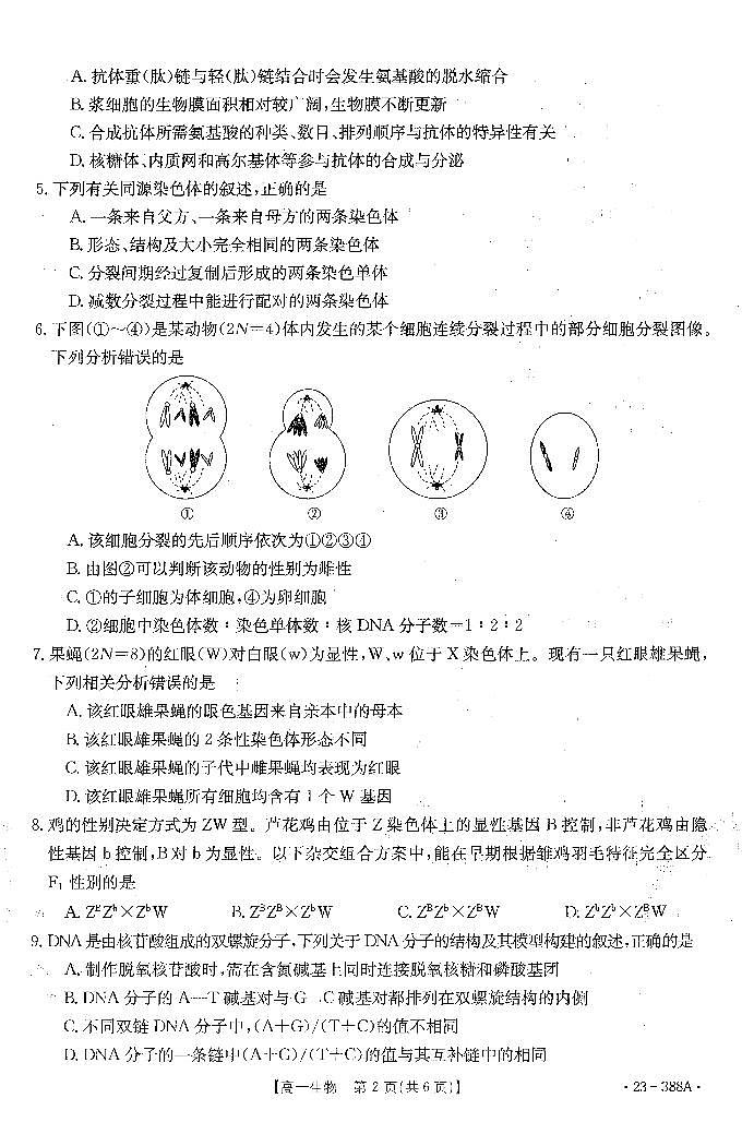 2022-2023学年广东省高一下学期4月联考生物试题 PDF版第2页