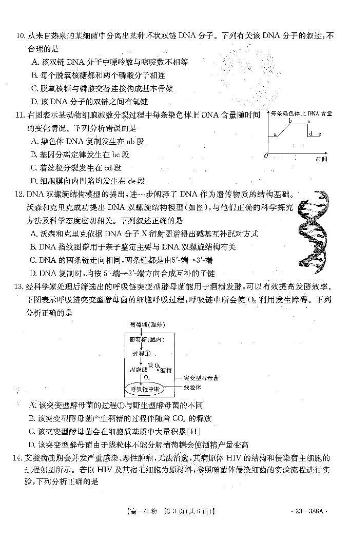 2022-2023学年广东省高一下学期4月联考生物试题 PDF版第3页