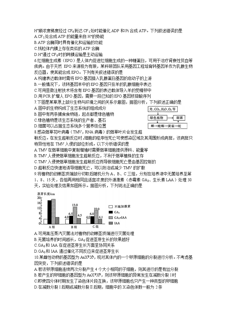 广东省湛江市2023届高三生物下学期二模试卷（Word版附答案）02