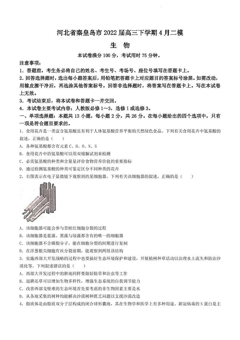 2022届河北省秦皇岛市高三下学期4月二模生物试题（PDF版）01