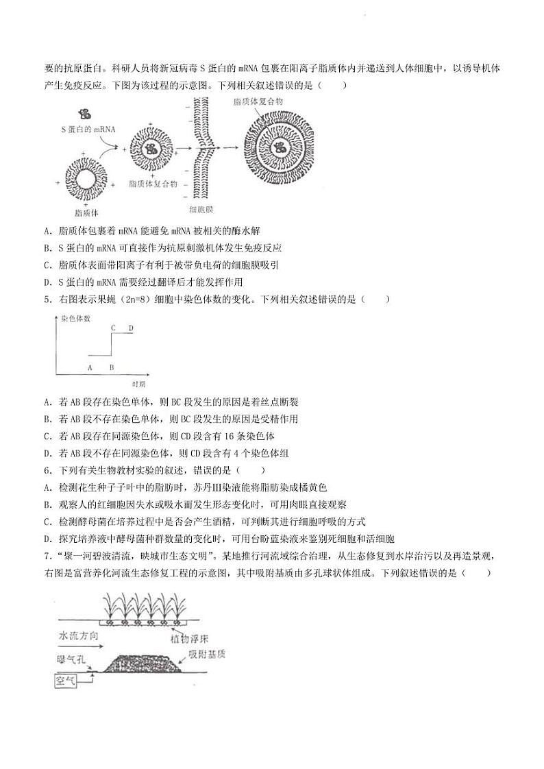 2022届河北省秦皇岛市高三下学期4月二模生物试题（PDF版）02