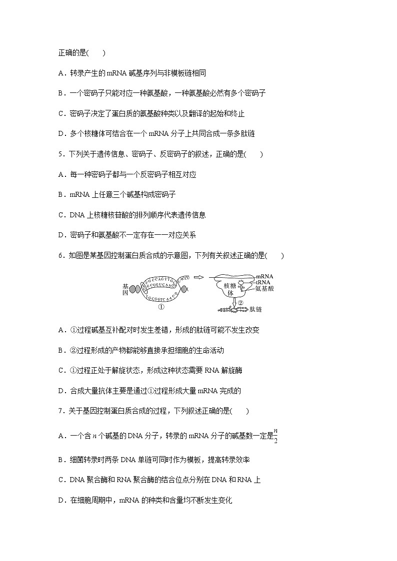 第4章　基因的表达  章末检测试卷(四)（含答案）高中生物 必修2（人教版2019）第2页