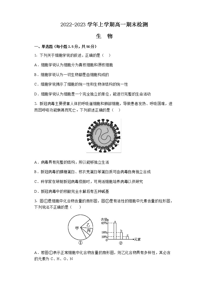 2022-2023学年湖南省新化县第一中学高一上学期期末检测生物试题含答案第1页
