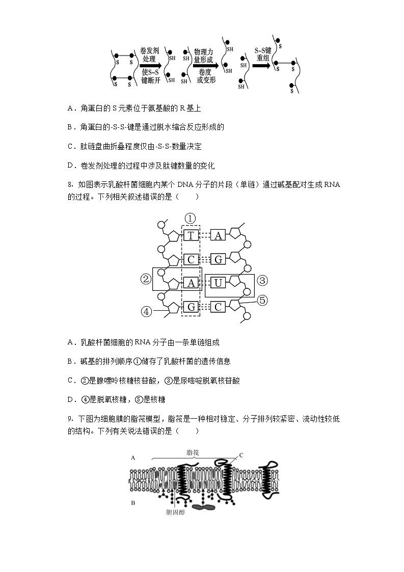 2022-2023学年湖南省新化县第一中学高一上学期期末检测生物试题含答案第3页