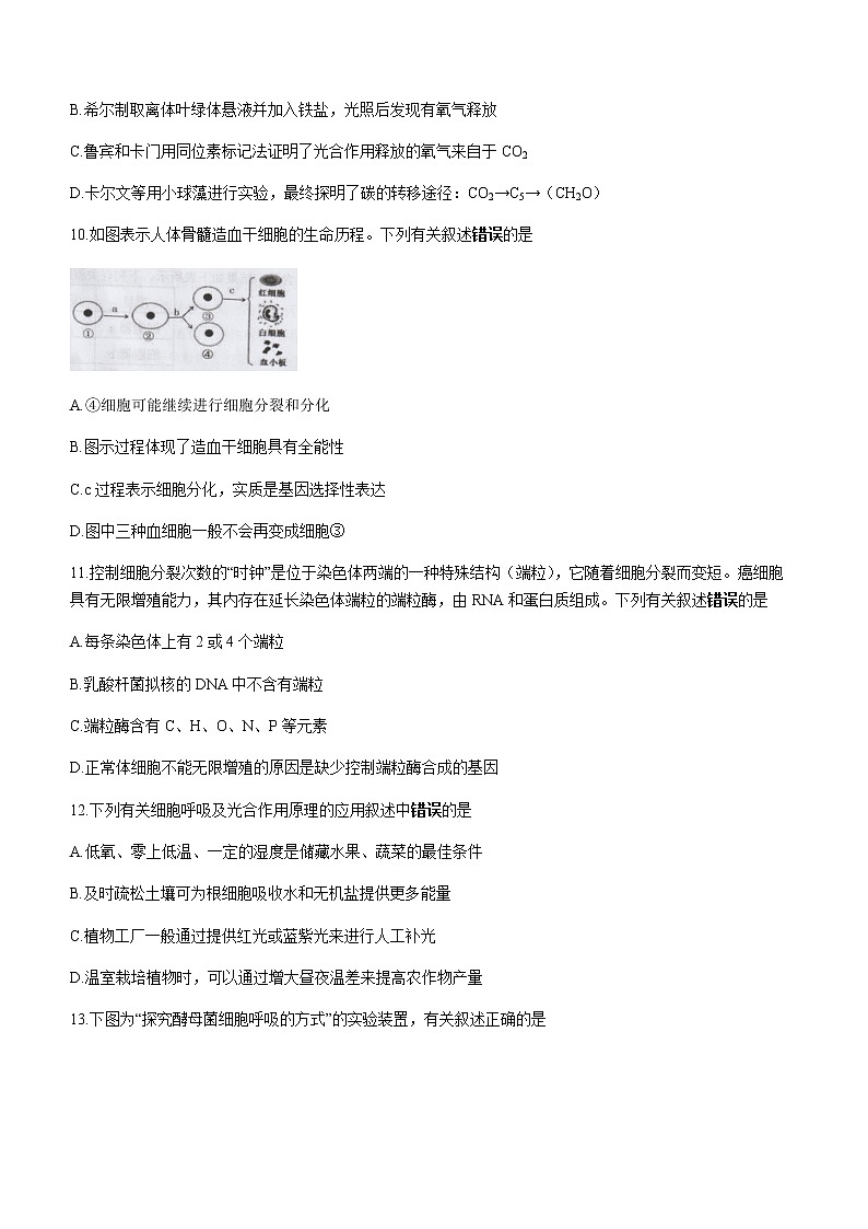 2022-2023学年江苏省宿迁市高一上学期期末生物试题含答案03
